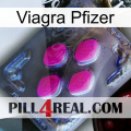 Viagra Pfizer 02